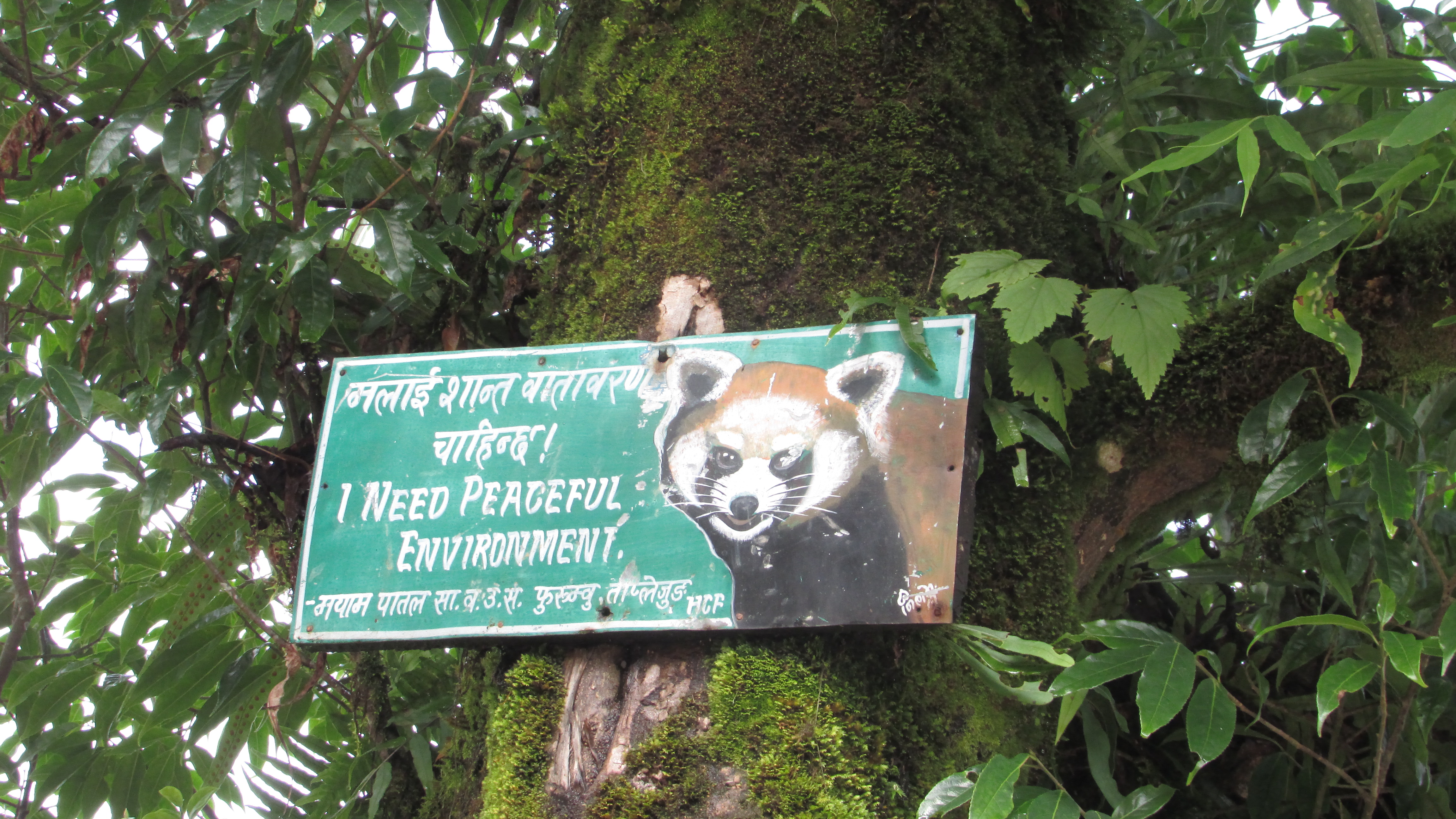 Community eco-tourism training