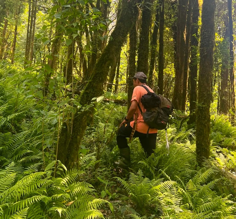 Community forest patrol team conducting anti-poaching surveillance