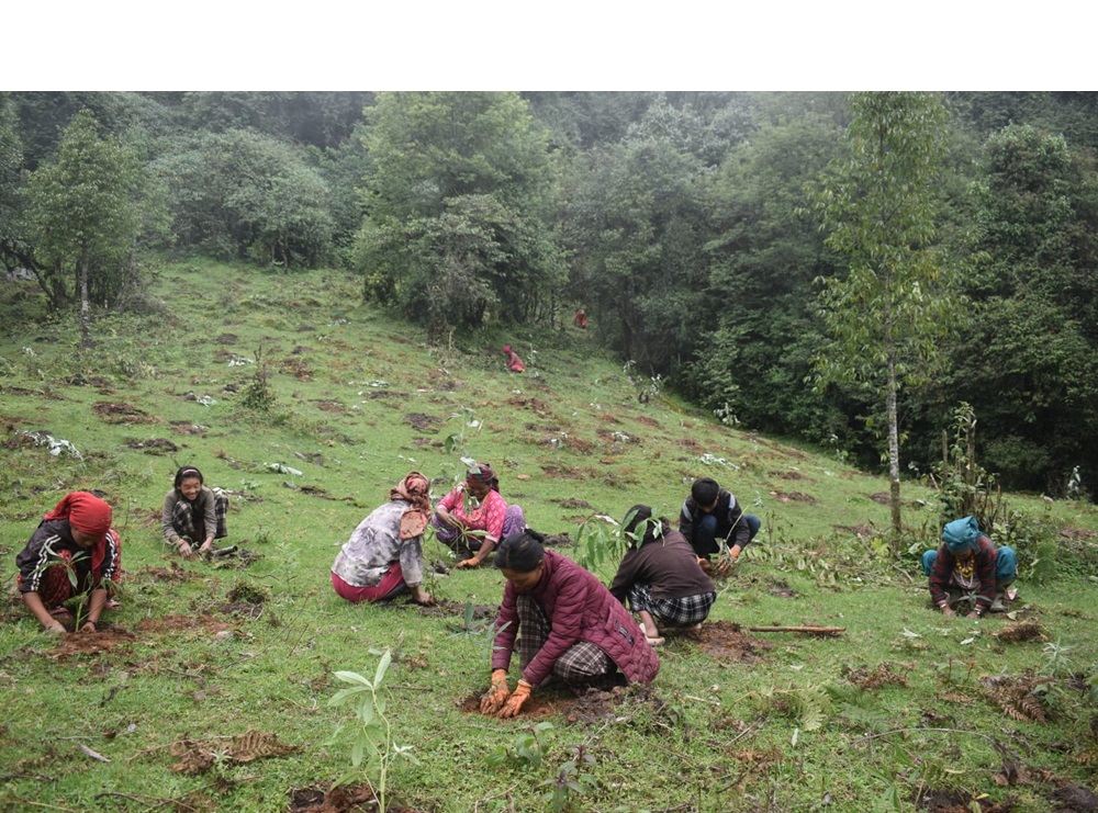 Himalayan mountain landscape showing climate-sensitive ecosystems